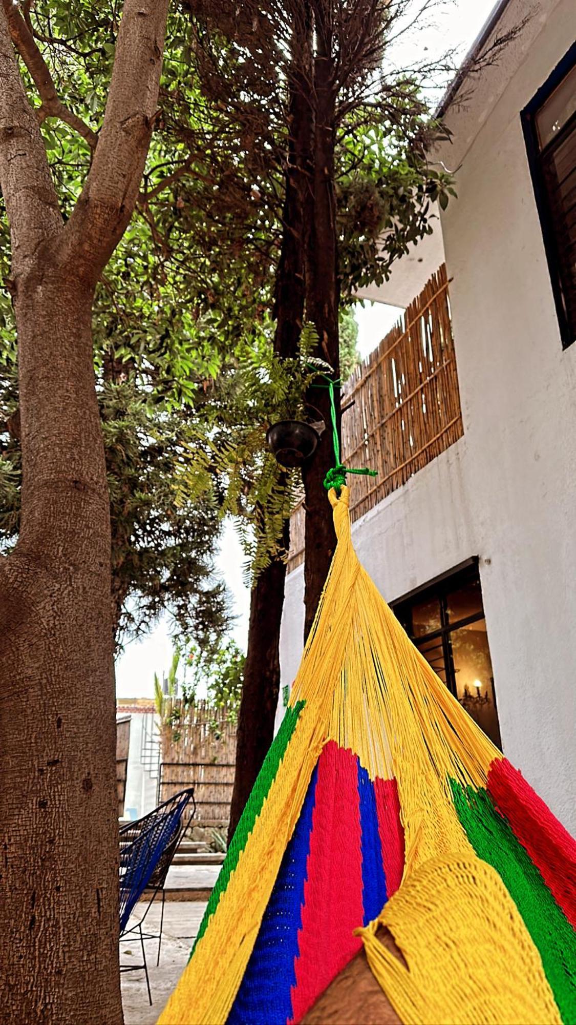 Xitla Hostel Oaxaca Exterior photo